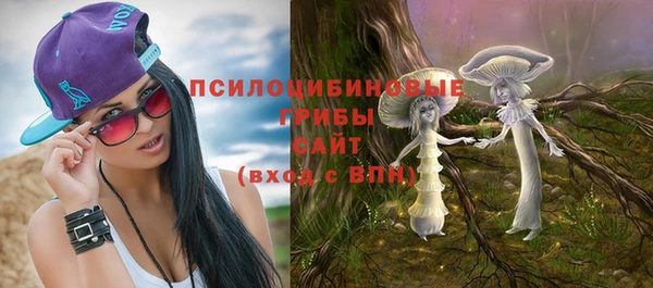 индика Аркадак