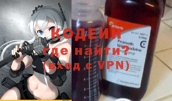 индика Аркадак