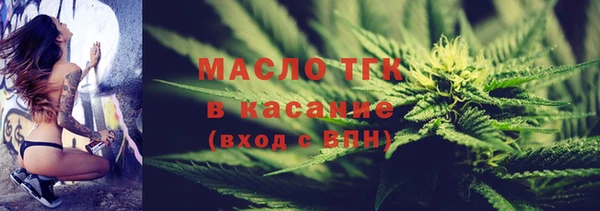 индика Аркадак