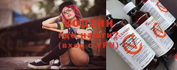 индика Аркадак