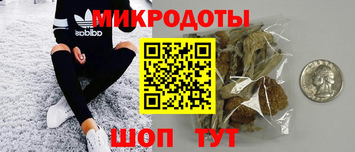 Псилоцибиновые грибы Psilocybe  Вход с VPN  Дзержинск 